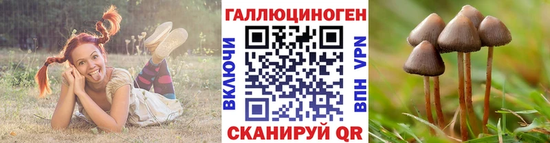 Галлюциногенные грибы мицелий  Купить закладки  Богородск 